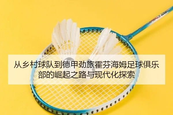 从乡村球队到德甲劲旅霍芬海姆足球俱乐部的崛起之路与现代化探索