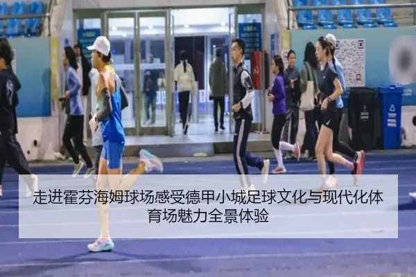 走进霍芬海姆球场感受德甲小城足球文化与现代化体育场魅力全景体验