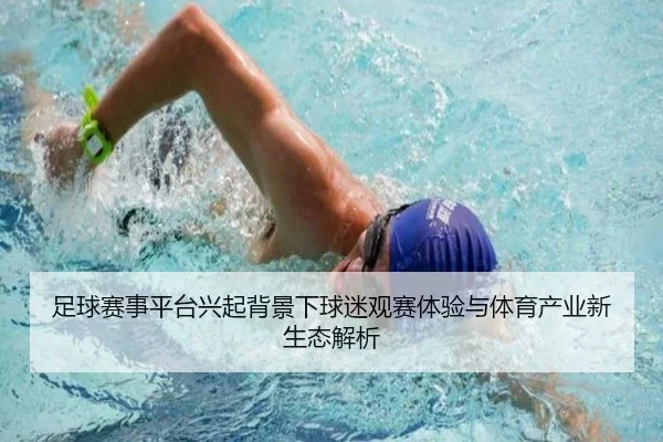 zu-qiu-sai-shi-ping-tai-xing-qi-bei-jing-xia-qiu-mi-guan-sai-ti-yan-yu-ti-yu-chan-ye-xin-sheng-tai-jie-xi-2-375.jpg