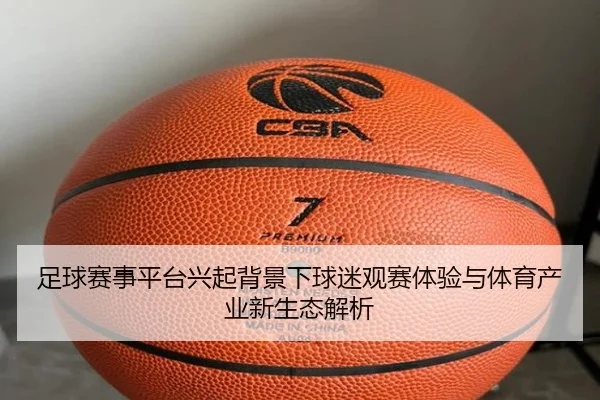 足球赛事平台兴起背景下球迷观赛体验与体育产业新生态解析