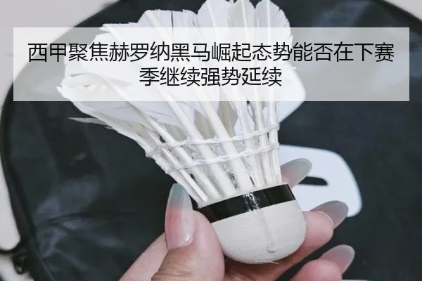 西甲聚焦赫罗纳黑马崛起态势能否在下赛季继续强势延续